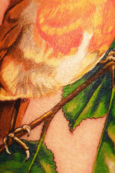 01   Tiere   Tattoo Hamburg Skinworxx